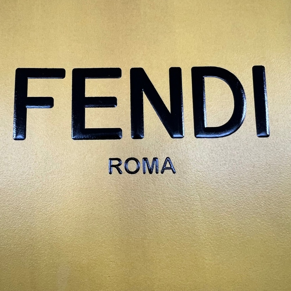 Fendi Shopping Bag Large Yellow 15X16X5 Roma Logo‎ Ribbon Designer Packaging - Picture 2 of 7